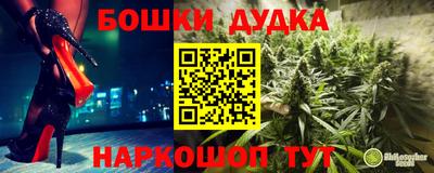 шишки Волгодонск